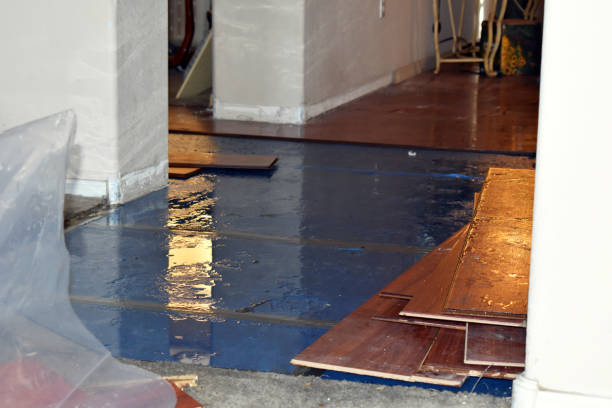 Professional Basement Flood Cleanup technician working in Shabbona, IL